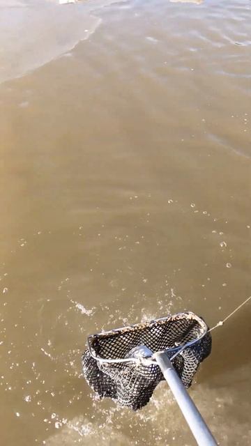 рыбалка у Иваныча Вип смотреть онлайн