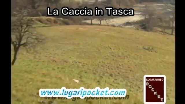 EP 17 AL CINGHIALE IN BATTUTA - DA LE INFERNALI LESTRE DI GAIATO DA 1AP DI 8 CINGH смотреть онлайн