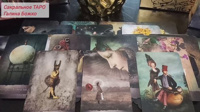 Ты не поверишь! Он просто сходит с ума от любви❤️🔥💯.mp4