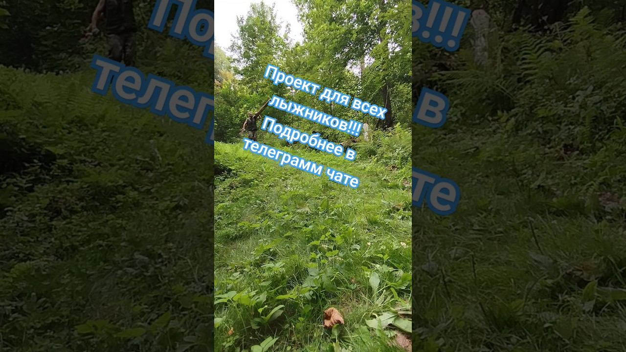 Лыжный домик для всех! #лыжнаямедиалига #лыжныйспорт #лыжи #викторлыжник #домиквлесу смотреть онлайн