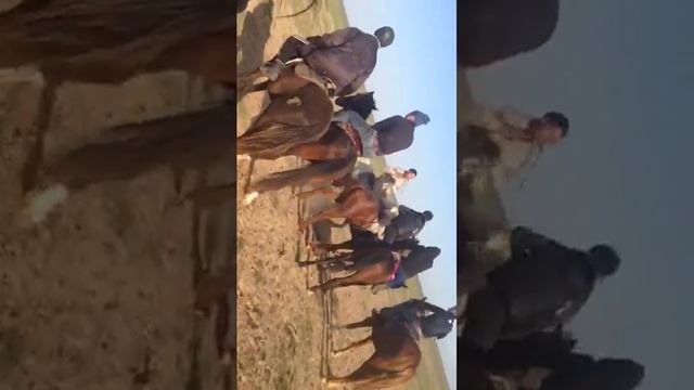 Кокпар акши смотреть онлайн