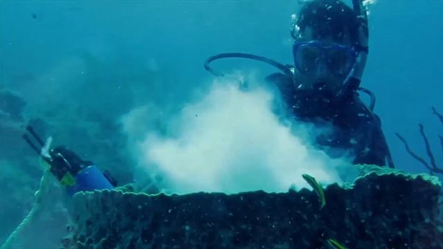 Fabien Cousteau Mission 31 Tribute Video смотреть онлайн