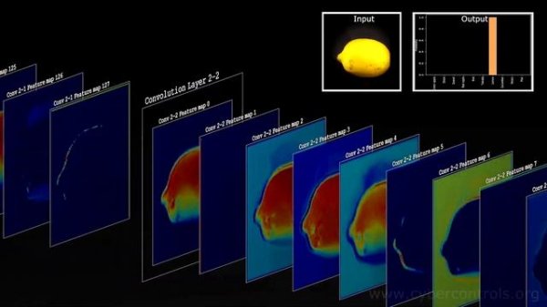 VGG16 Neural Network Visualization
