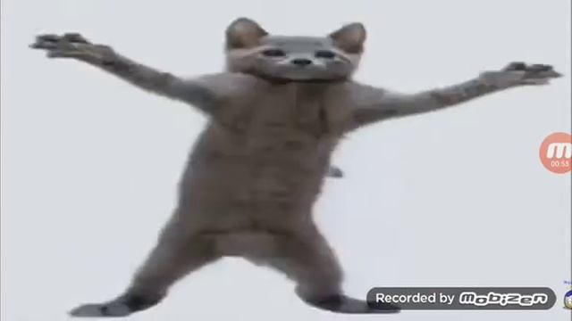 Кот флексит зацепила меня смотреть онлайн