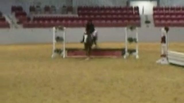 Me and Monty @ Jax Equestrian Center смотреть онлайн