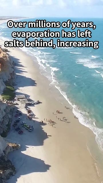 Why is the Ocean Salty? #shorts #ai #trivia #sea #salt смотреть онлайн