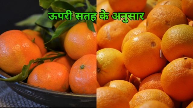 संतरे और किन्नू में क्या अंतर होता है l Difference Between Orange And Kinnow l Funky Facts смотреть онлайн