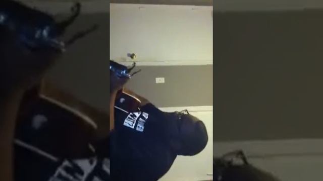 prodigy and propaganda instrument freestyle смотреть онлайн