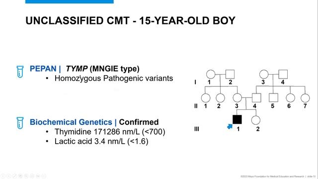 Neuropathy and Neuromuscular Gene Panel Update смотреть онлайн