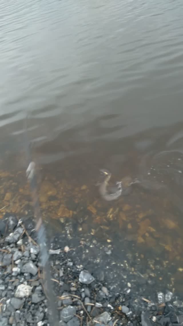 ОТКРЫЛ СЕЗОН.2025г.