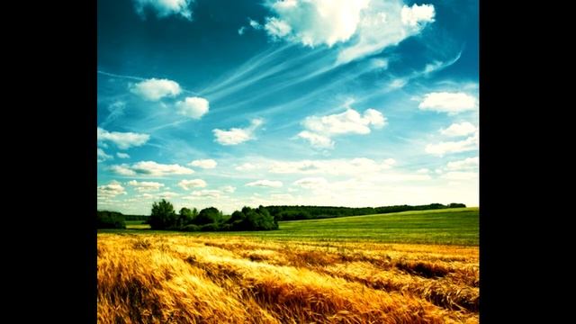 Нивата смотреть онлайн