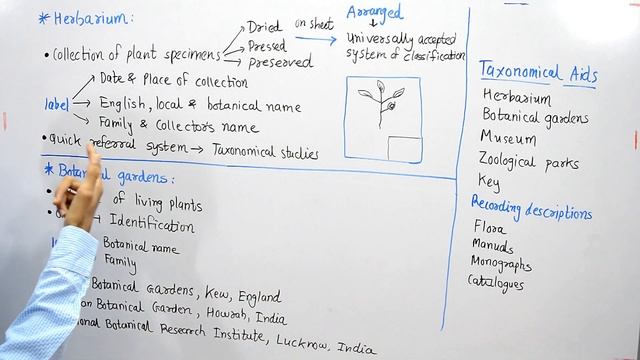 Taxonomical Aids | Herbarium and Botanical Gardens in Hindi смотреть онлайн