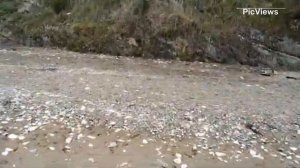 Туапсе Краснодарский край сегодня 16 апреля 2025. Дикий пляж. Чёрное море. Погода, обстановка