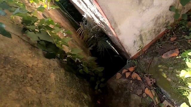 FICAMOS IMPRESSIONANDOS COM O QUE ENCONTRAMOS NESSE LOCAL ASSUSTADOR! смотреть онлайн