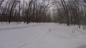 Коньковый ход без палок. Nordic skiing technique. Without poles.