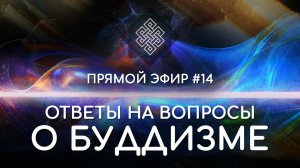 НАРА ЛОКА / ПРЯМОЙ ЭФИР #14 Ответы на вопросы о буддизме