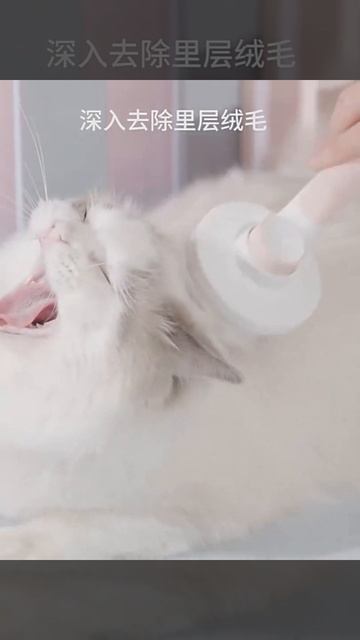 pet comb with new design 2022 смотреть онлайн