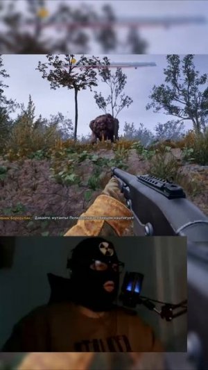 Покрошил Скотинку #stalker2 #сталкер #games #игры #сталкер2