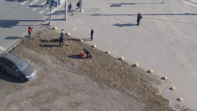 Показательная уборка газона от мусора по жалобе на портал "Наш Санкт-Петербург" смотреть онлайн