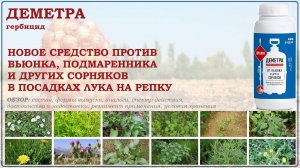 Деметра - новый гербицид для борьбы с вьюнком, подмаренником и другими сорняками в посадках лука