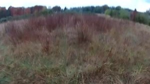 Test Fabarm Axis + Mary arm