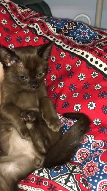 Бурма смотреть онлайн