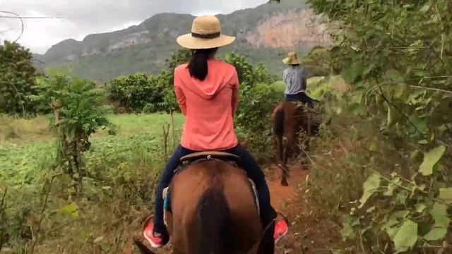 Vinales, Cuba 2016 смотреть онлайн