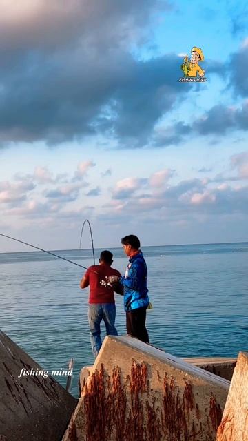 Baraccuda | ശീലാവ് | തിണ്ട |shore fishing|#youtubeshorts #shorts #fishing #viral #short #barracuda смотреть онлайн