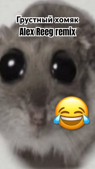 Грустный хомяк Alex Reeg remix #хомяк #грустныйхомяк #remix смотреть онлайн