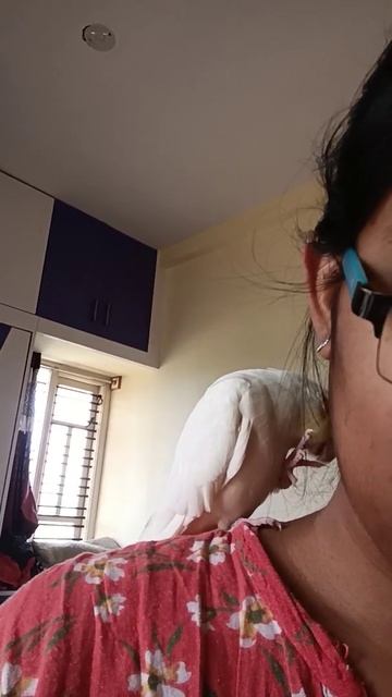 #time to clean legs смотреть онлайн