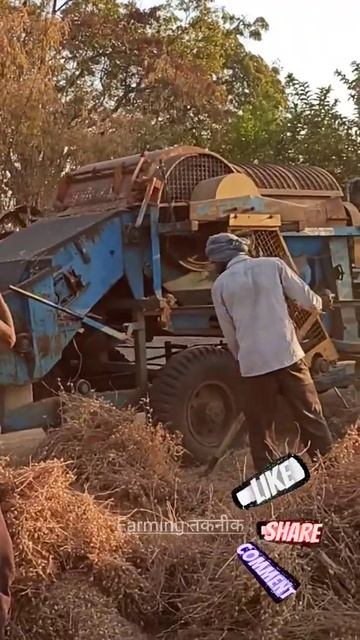 Chane ki threshing | चने ऐसे निकाले जाते हैं | farming taknik | Ashish Morchhale | #Shorts смотреть онлайн