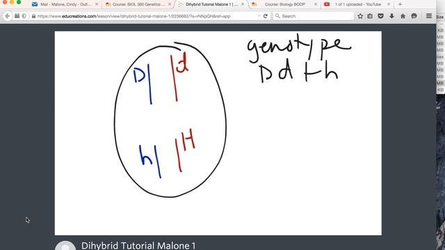 Tutorial dyhibrid cross смотреть онлайн