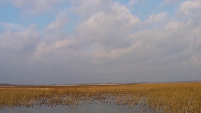 Duck hunting / Утиная охота смотреть онлайн