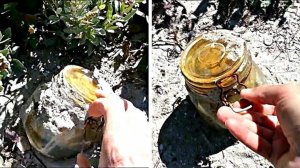 После шторма обнаружил банку на пляже. Решил открыть.