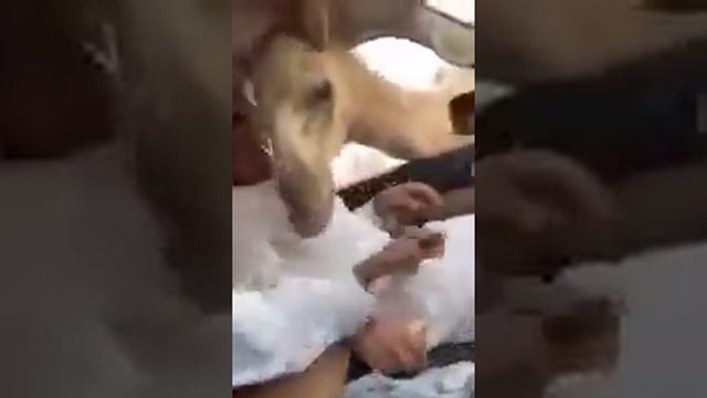 Одна минута смеха смотреть онлайн