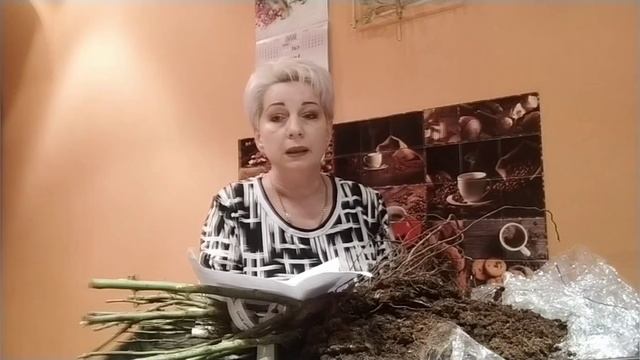 Распаковка посылки с розами смотреть онлайн