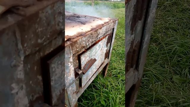 Просто сжигаю осиный улей смотреть онлайн