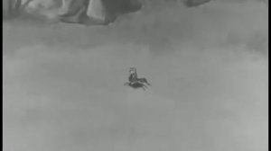 /Путешествие муравья// The journey of the ant /