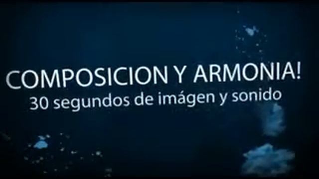Videos y Diseño Gráfico. CONFECCIONAMOS su VIDEO con SUS IDEAS- MALLORCA jefsa3@hotmail.com смотреть онлайн