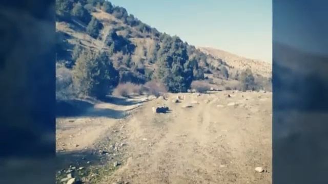 Хучанд смотреть онлайн