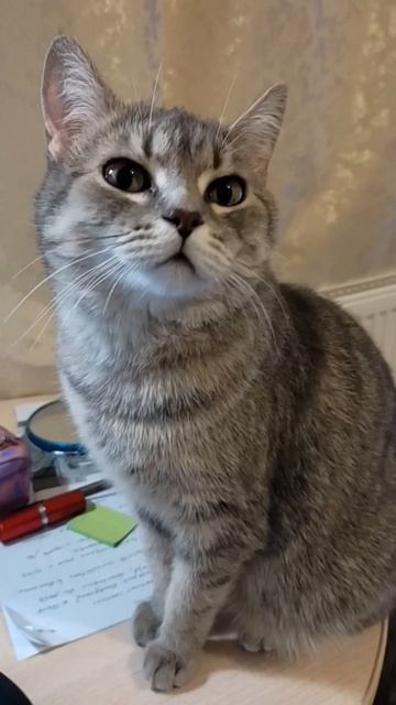 Я красивая! смотреть онлайн