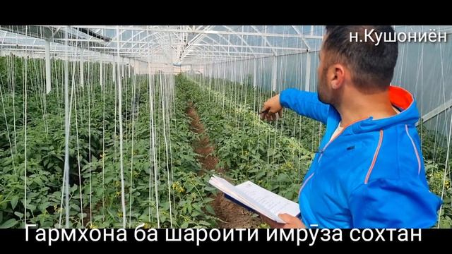 Гармхонаи замонавӣ ба шароити имрӯза сохтагӣ Шумо пурсиден мо навор гирифтем барои Шумо марҳамат смотреть онлайн