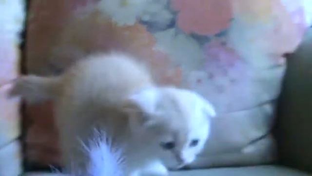 Klaus_2mes смотреть онлайн