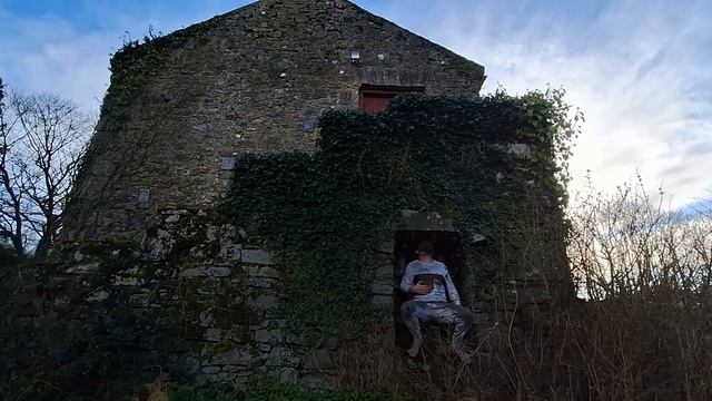 Artist in Residence at Live Art Ireland, Milford House, Borrisokane, Co. Tipperary, Ireland. смотреть онлайн