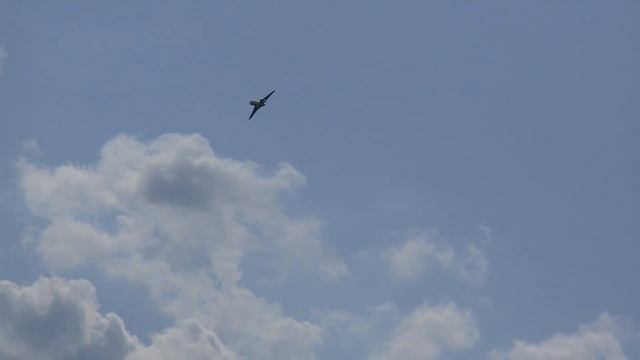 HUGE RC DESAULT FALCON 20 SCALE MODEL AIRLINER TURBINE JET FLIGHT DEMONSTRATION смотреть онлайн