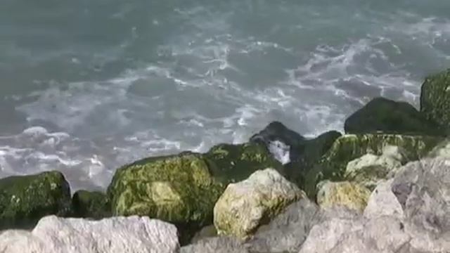 beach erosion.mov смотреть онлайн