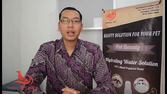 Mengenal Penyakit Kulit Scabies pada Anjing dan Kucing смотреть онлайн