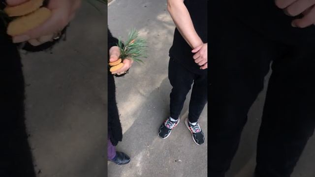 Бабка-гадалка. Зеленоград смотреть онлайн