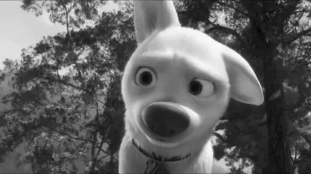 Bolt apoligize смотреть онлайн