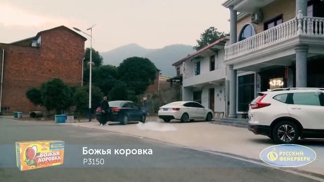 P3150 Божья коровка